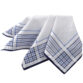 DION Handkerchiefs - Image 2