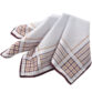 DION Handkerchiefs - Image 3