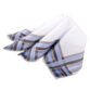 DION Handkerchiefs - Image 3