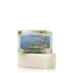 Bolgherello Sea Pine Soap